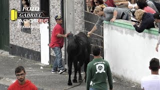 AS Melhores Touradas 2018 Parte 8 Ilha Terceira AÇORES [upl. by Boothman29]