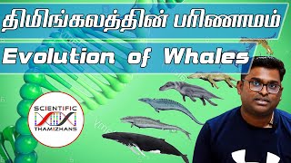 நிலத்தில் நடந்த திமிங்கலங்கள் Evolution of Whales  Key Stages Explained Tamil [upl. by Aleakcim756]