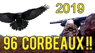 Chasse corbeaux 2019 [upl. by Hairej]