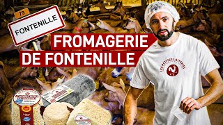 La Petite Laiterie de Fontenille [upl. by Horlacher]