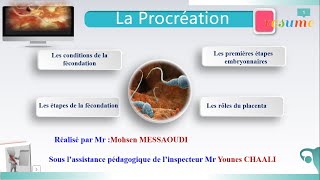 La procréation fécondation  nidation et roles du placenta [upl. by Ridley]