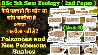 Poisonous and Non Poisonous Snakes 🪱 BSc 5th Sem Zoology 🐍 Poisonous amp Non Poisonous Snakes in Hindi [upl. by Laohcin]