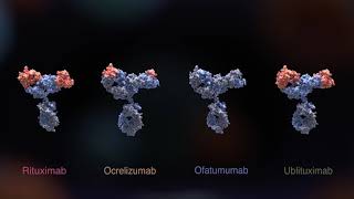 BCell Therapies in Relapsing MS Clarifying the Options in an Expanding Treatment Landscape [upl. by Patterman841]