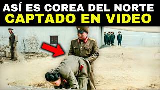 20 videos prohibidos filtrados de Corea del Norte [upl. by Bumgardner]