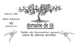 Domaine de jiji taille de formation guyot [upl. by Kotta256]