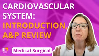 Cardiovascular System Introduction Anatomy amp Physiology Review  MedicalSurgical  LevelUpRN [upl. by Broek]