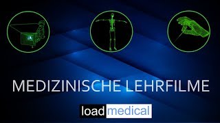 Craniosacrale Osteopathie  anschaulich demonstriert [upl. by Sholom172]