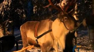 Enchanting Lapland Video [upl. by Aoh]