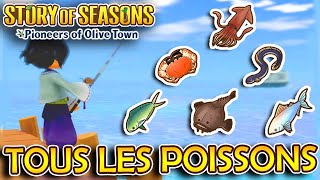 TOUS LES POISSON  🐟  Story of Seasons  Pioneers of Olive Town [upl. by Materse]