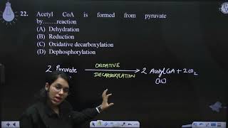 Acetyl CoA is formed from pyruvate by reaction [upl. by Adnalahs]