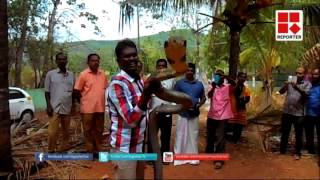 Vava Suresh catching a King Cobra [upl. by Ronald]