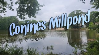 Conines Millpond Allentown NJ [upl. by Shivers731]