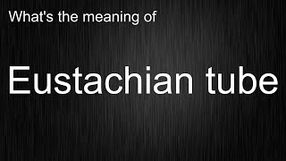 Whats the meaning of quotEustachian tubequot How to pronounce Eustachian tube [upl. by Gerdeen]