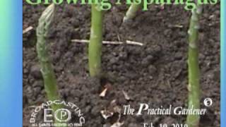 Growing AsparagusThe Practical Gardener [upl. by Lada]