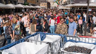 Braderie de Lille  les secrets du plus grand videgrenier d’Europe [upl. by Naasar]