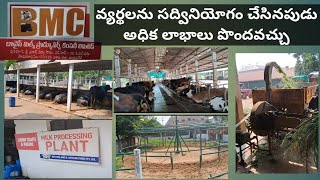 payakaraopeta dairyfarm visit [upl. by Eillit545]