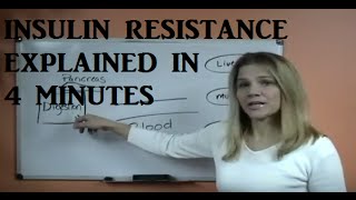 Insulin Resistance Explained [upl. by Angi]