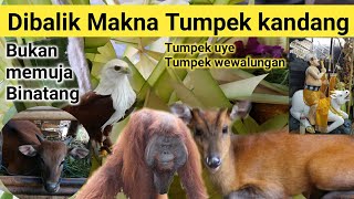 Memahami Makna Tumpek Kandang  tumpek uye  tumpek wewalungan [upl. by Nnylhsa]