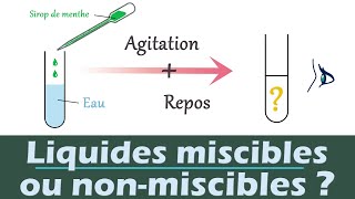 Miscibilité  Liquides MISCIBLES ou nonmiscibles   Physique chimie  Collège Lycée [upl. by Marne508]