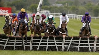 Wicklow Brave  BETDAQ Punchestown Champion Hurdle [upl. by Acsot]