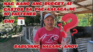 BABUYANG WALANG AMOY  DAY 8 ✅ MAGKANO ANG BUDGET AT GASTOS SA PAG AALAGA NG 10 FATTENER [upl. by Haimerej]