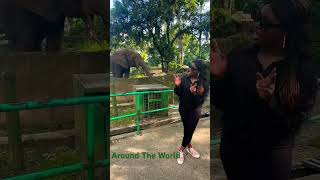 Visiting Abidjan Cote D’Ivoire  Airport Layover Africa Ivory Coast  Travel Animals Zoo Vlog [upl. by Roer231]