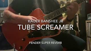 Kauer Banshee Jr  Sound Samples [upl. by Licec]