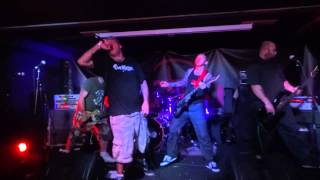 Freebase  23 years live HD [upl. by Arbuckle]