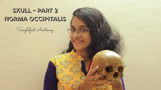 SKULL PART 2  NORMA OCCIPITALIS  ANATOMY  SIMPLIFIED ✔ [upl. by Enilkcaj250]