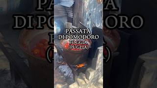 Passata di pomodoro di fine stagione italia food foggia puglia [upl. by Standing]