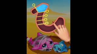 Island Hoppers  Ad 195 mobilegameads bestads cringeads funnyads horsecommercial theyneedwater [upl. by Havstad]