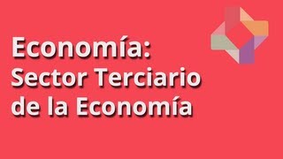 Sector Terciario de la Economía [upl. by Rambort82]