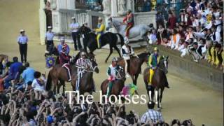 The Palio of Siena on July 2 2011 [upl. by Ring]