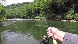 TROUT Fishing for Rainbow amp Brown Trout with Spinners [upl. by Sinnoda]