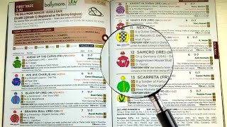 How to read a horse racecard [upl. by Anerb188]