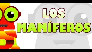 APRENDE CON EDU  LOS MAMÍFEROS [upl. by Glyn288]