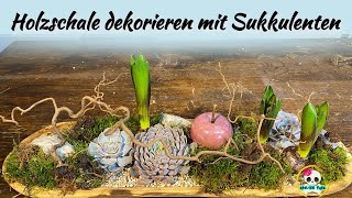 Holzschale dekorieren mit Sukkulenten  Frühlingsdeko selber machen [upl. by Ahsenar349]