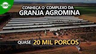 GRANJA AGROMINA  CONHEÇA O FUNCIONAMENTO DA MAIOR GRANJA DE SUÍNOS DO NORTE NORDESTE [upl. by Reidid]