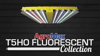 HTGSupply Presents The AgroMax T5 HO Fluorescent Grow Lights [upl. by Tannen]