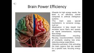 Brainy Efficiency How Your Mind Saves Energy [upl. by Yrffej]