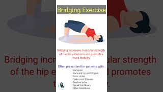 Bridging exercise benefits physiotherapy shorts viralyoutubeshorts [upl. by Grata236]