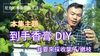 『用護手霜也救不回來？雞爪手的治療方式與後遺症？』Pro好醫 [upl. by Plafker]