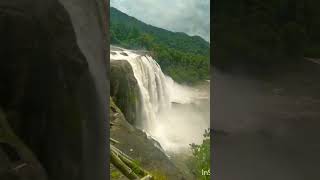 nenjai popol koithu vitalminnalemovie naturelovers likeandsubscribe [upl. by Yluj]