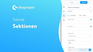 Die Sektionen Shopware 6 Tutorial [upl. by Buckler]