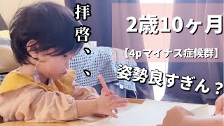 【4pマイナス症候群】ピナちゃんに色鉛筆を渡すとカオスでした。 [upl. by Nesmat]