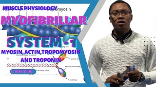 Myofibrillar System  Myofilaments Actin Myosin Tropomyosin amp Troponin [upl. by Billat894]