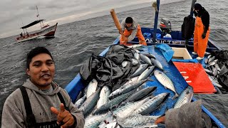 Mira la increíble pesca del PEZ BONITO en altamar [upl. by Fagin]