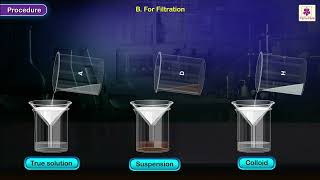 Difference Between a True Solution Suspension and Colloid  Chemistry Experiment  Grade 9 [upl. by Arthur]