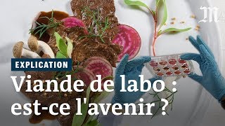 La viande de laboratoire peutelle nourrir la planète [upl. by Enier]