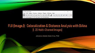 FIJI ImageJ Colocalization amp Distance Analysis with DiAna I 2D MultiChannel Images [upl. by Idoj]